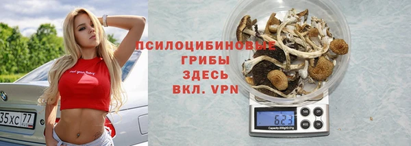 хмурый Карталы