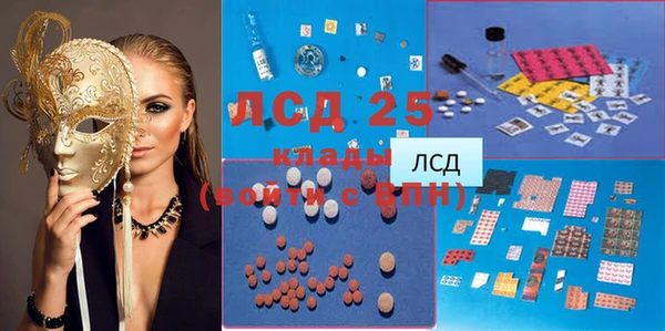 дживик Касимов