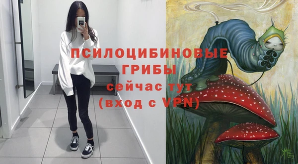 хмурый Карталы