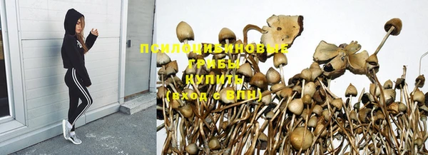 хмурый Карталы