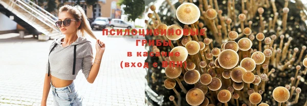 хмурый Карталы