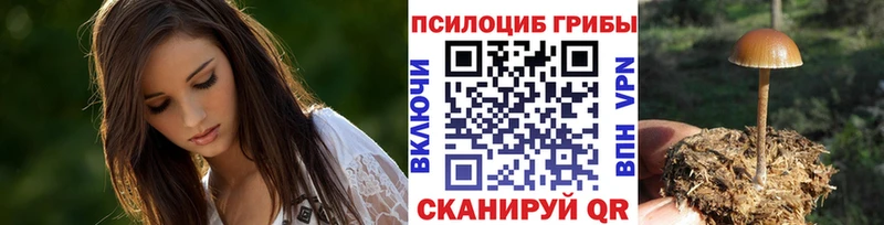 Купить где  Ахтырский  Псилоцибиновые грибы Psilocybine cubensis 
